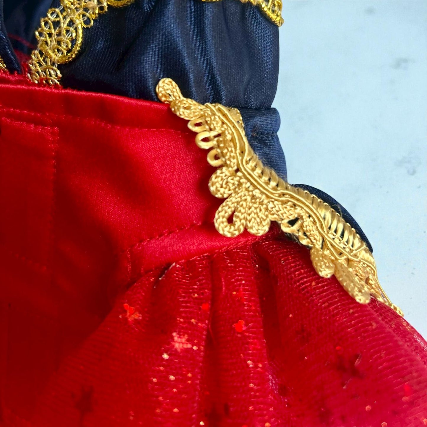 ista cercana del cuello azul marino y encaje dorado del Casca