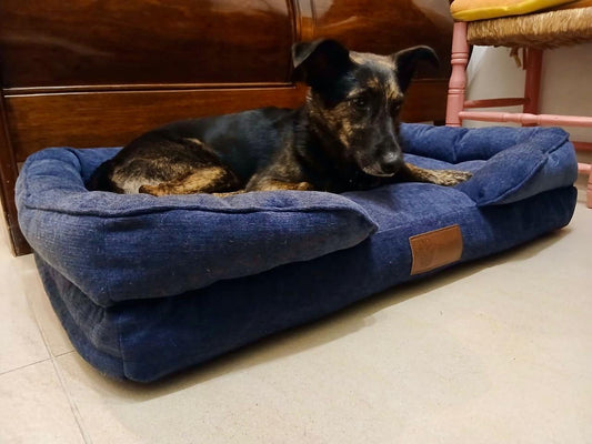 Camas para perros: cómo elegir el tamaño y material ideal
