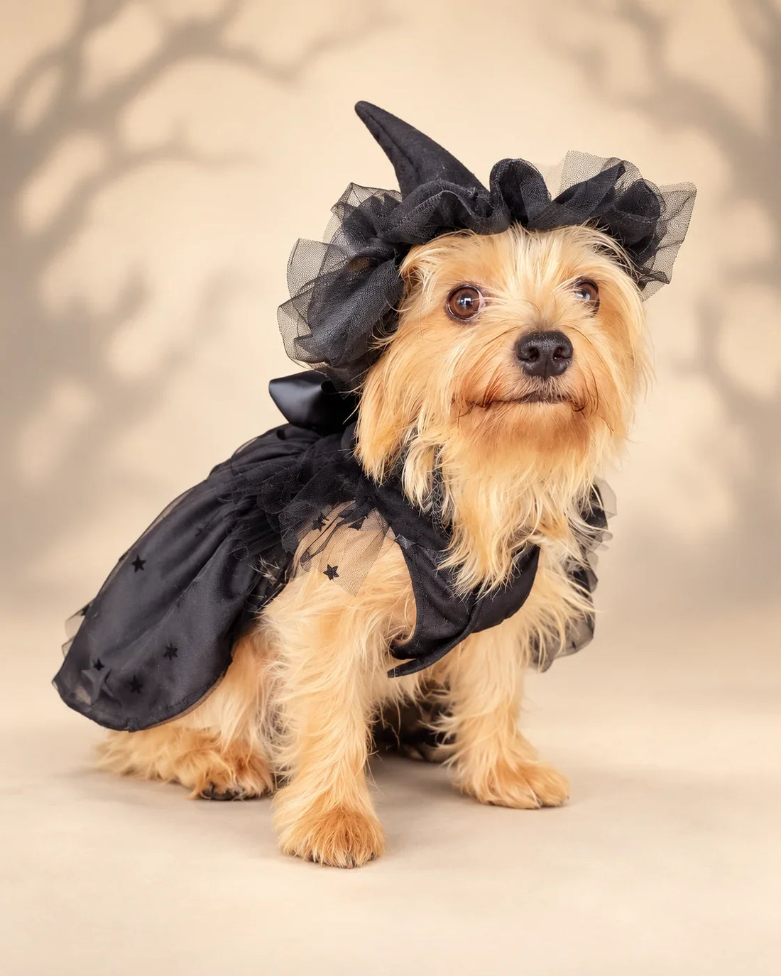 ¿Cuánto falta para Halloween 2026? 🎃 Todo lo que necesitas saber