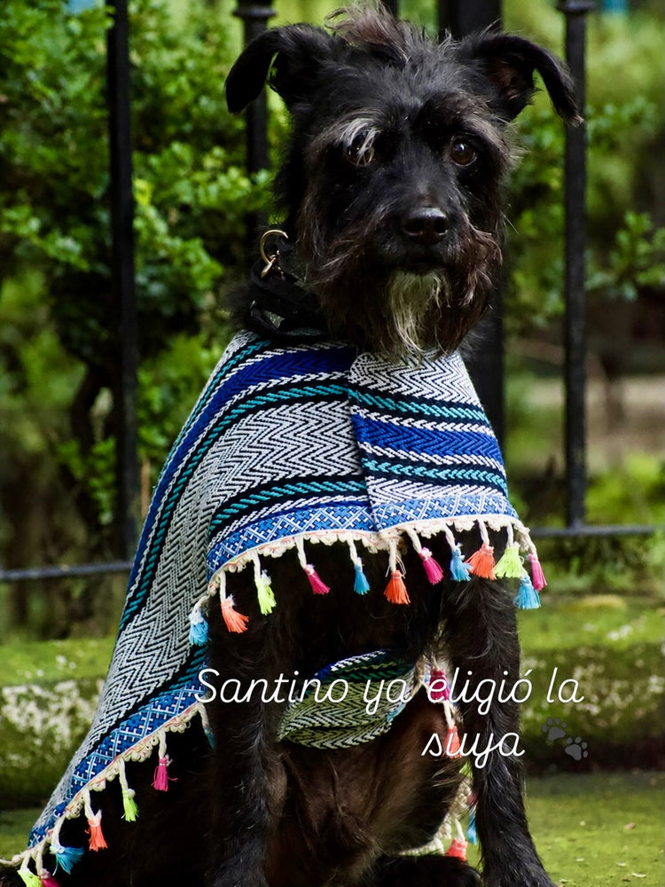 Suéteres, Sudaderas y Abrigos para Perros