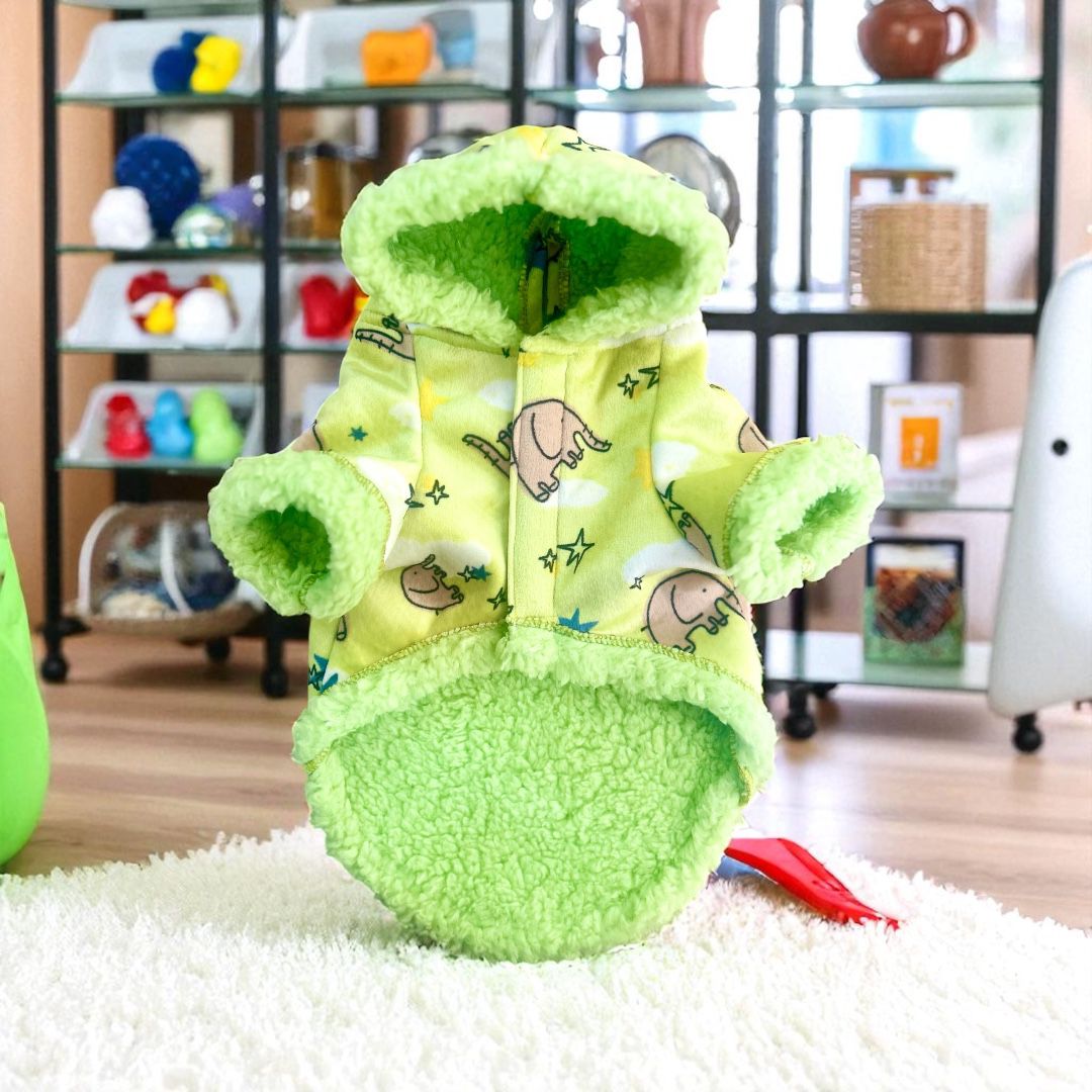 Chaqueta verde sweet dreams decorada con estrellas sobre fondo interior zona de perros