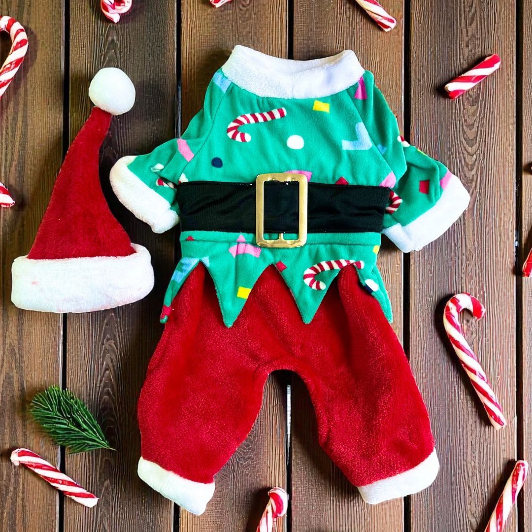 Traje navideño de duende para perro con gorro rojo y verde sobre fondo de madera decorado con bastones de caramelo
