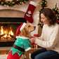 Mujer vistiéndo a su perro con disfraz de duende navideño frente a chimenea decorada