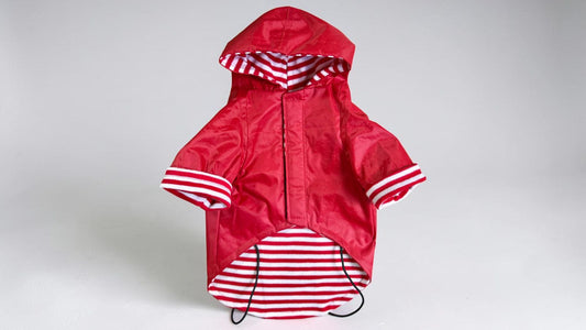 Foto 1
Impermeable rojo para perro con gorro, vista frontal fondo blanco