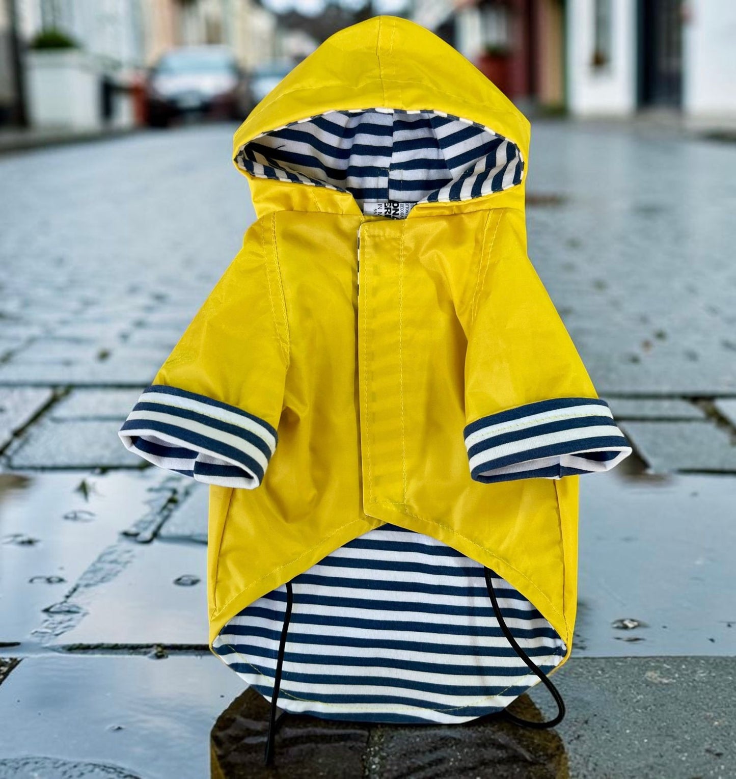 Foto 1
Impermeable amarillo para perro con gorro, vista frontal en día de lluvia