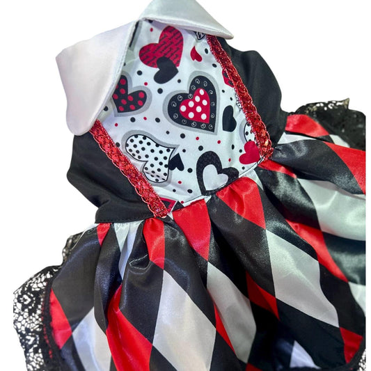 Ropa para mascotas