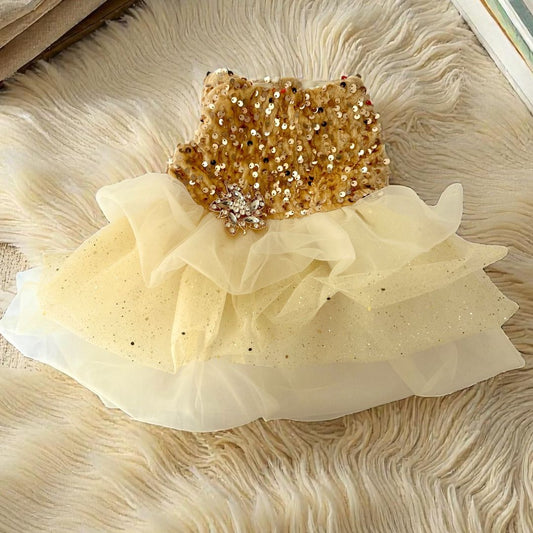 Perrita usando vestido dorado con lentejuelas y falda de tul color crema, ideal para ocasiones especiales o sesiones de fotos.