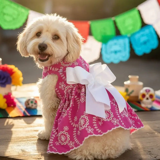 Perro pequeño usando vestido para fiestas patrias mexicanas