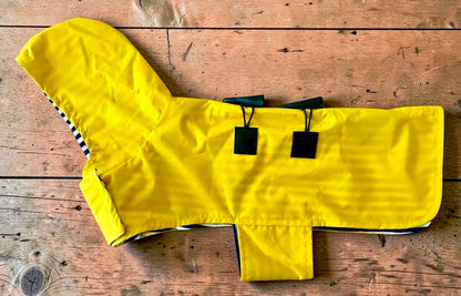Impermeable Capa de Lluvia para Perro