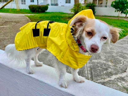 Impermeable Capa de Lluvia para Perro