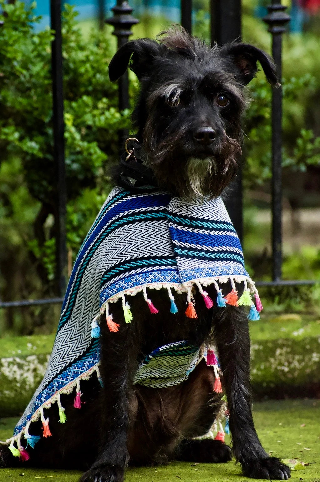 Capa Artesanal para Perro | Ropa Mexicana para Perros