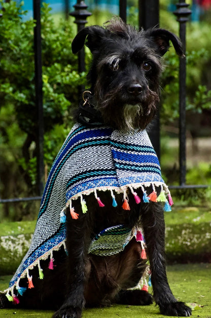 Capa Artesanal para Perro | Ropa Mexicana para Perros