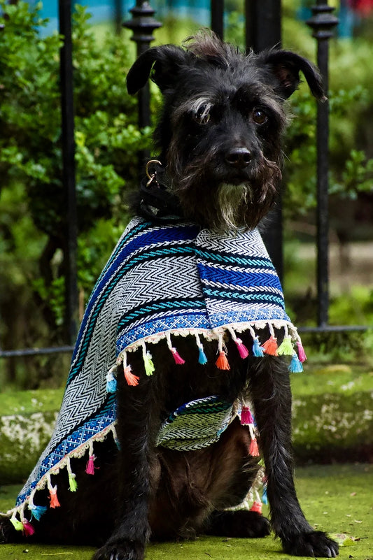 Capa Artesanal para Perro | Ropa Mexicana para Perros