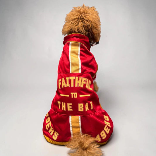 Personaliza tu capa con tu equipo favorito para tu perro, disfraz personalizado para perro