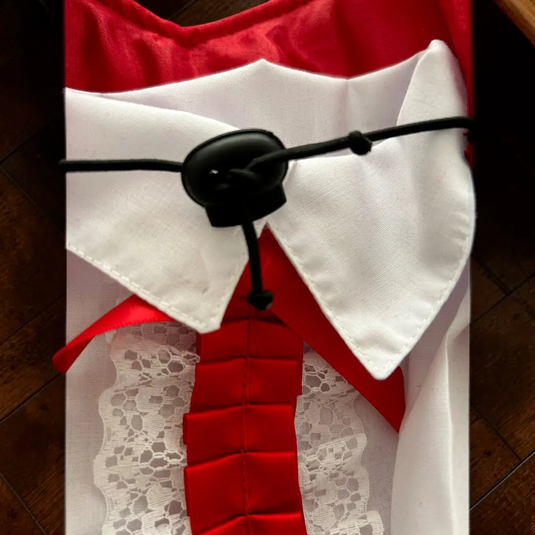 Detalle del disfraz de vampiro para perro mostrando el cuello blanco, corbata roja, botones y acabados del diseño inspirado en la vestimenta clásica de un caballero de la noche.