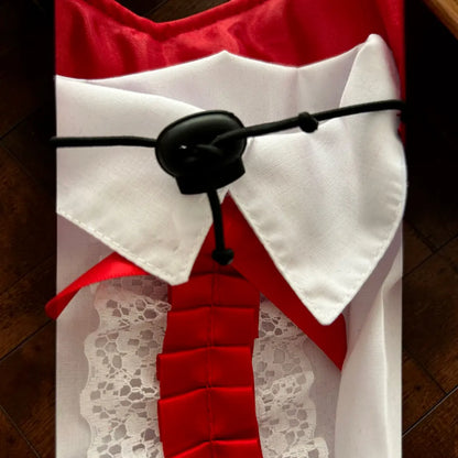 Detalle del disfraz de vampiro para perro mostrando el cuello blanco, corbata roja, botones y acabados del diseño inspirado en la vestimenta clásica de un caballero de la noche.