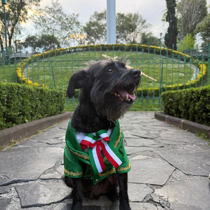 Perro usando traje de charro verde bandera fiestas patrias mexico
