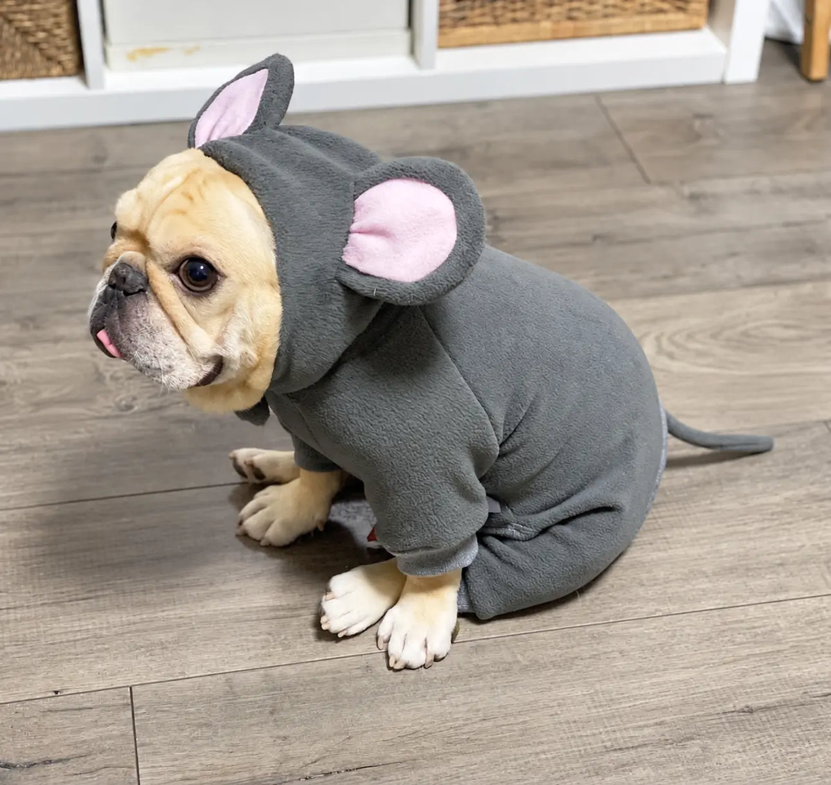 disfraz de rata para perro, disfraz termico sudadera de perros gris