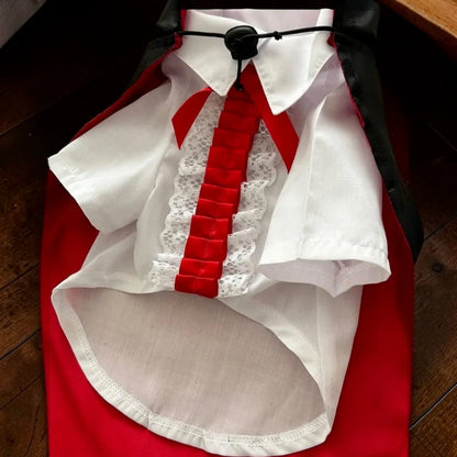 Disfraz de vampiro para perro con camisa blanca, corbata roja, cuello alto y capa roja, mostrado de cuerpo completo sobre un fondo oscuro para una celebración de Halloween.