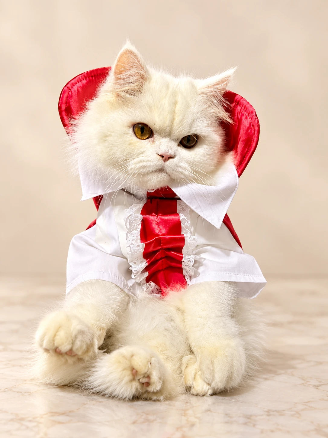 Mascota pequeña usando un disfraz de vampiro para Halloween, con camisa blanca, corbata roja y cuello de estilo clásico, mostrando cómo luce el diseño puesto.