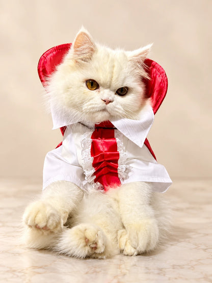 Mascota pequeña usando un disfraz de vampiro para Halloween, con camisa blanca, corbata roja y cuello de estilo clásico, mostrando cómo luce el diseño puesto.