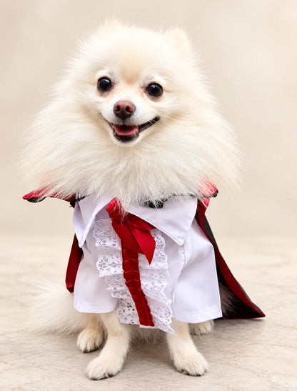 Perro pequeño usando un elegante disfraz de vampiro con camisa blanca, corbata roja y detalles en negro y rojo, ideal para Halloween y sesiones de fotos.