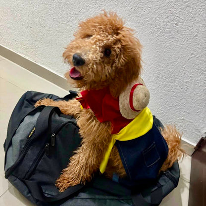 Disfraz de pirata para mascota. Inspirado en anime