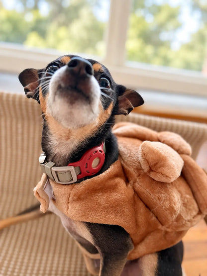 Perro chihuahua con disfraz de pan de muerto color beige, ideal para celebrar el Día de Muertos.