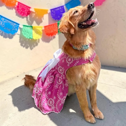 Golden retriever usando vestido rosa mexicano fiestas patrias