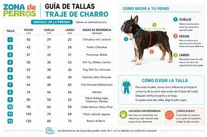 Traje de Charro para Perro – Moño Tricolor y Sombrero