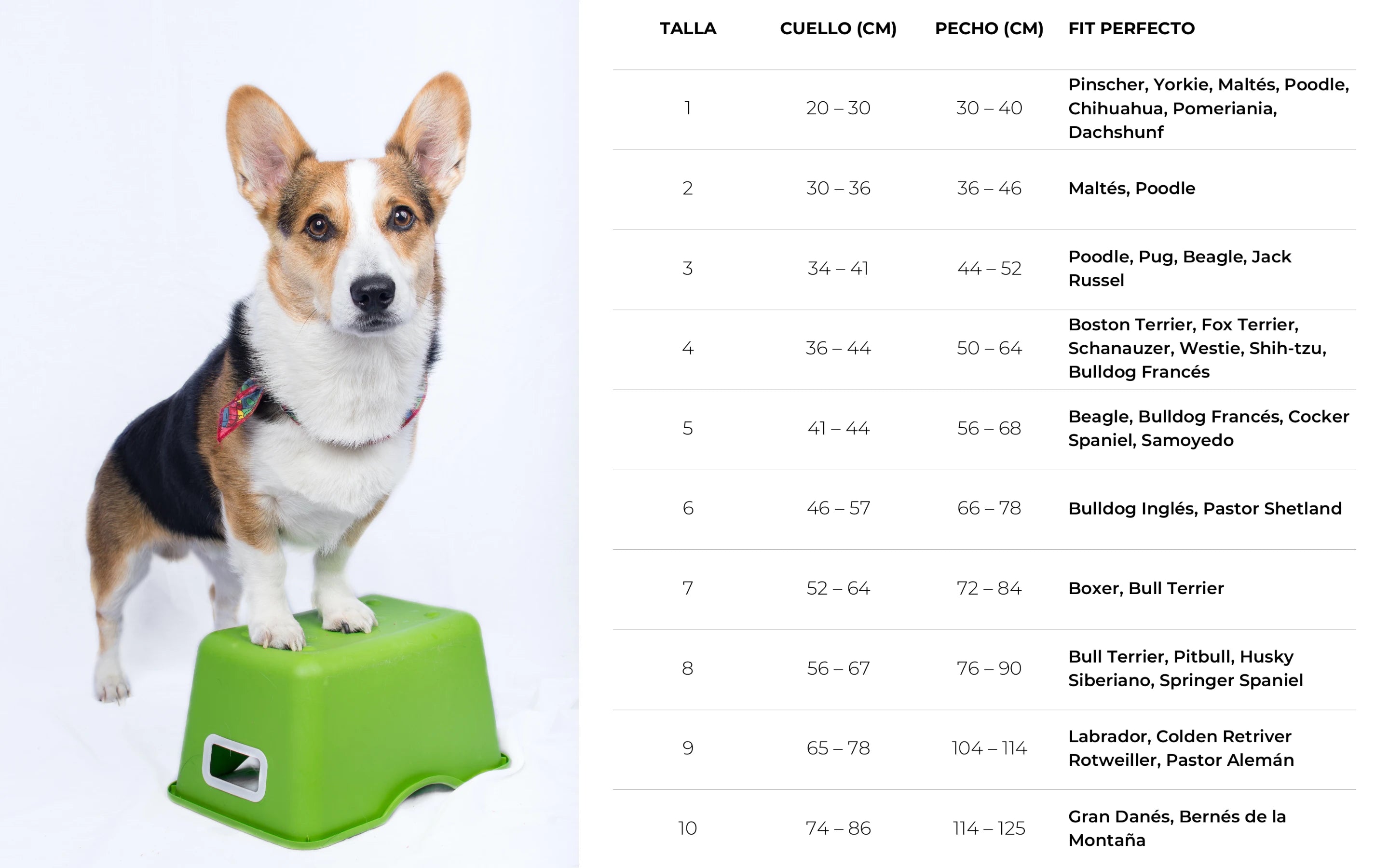 Tabla de medidas y guía de tallas de Zona de Perros para elegir el jersey correcto, mostrando las indicaciones en centímetros para medir el contorno del pecho, cuello y largo del lomo de la mascota.