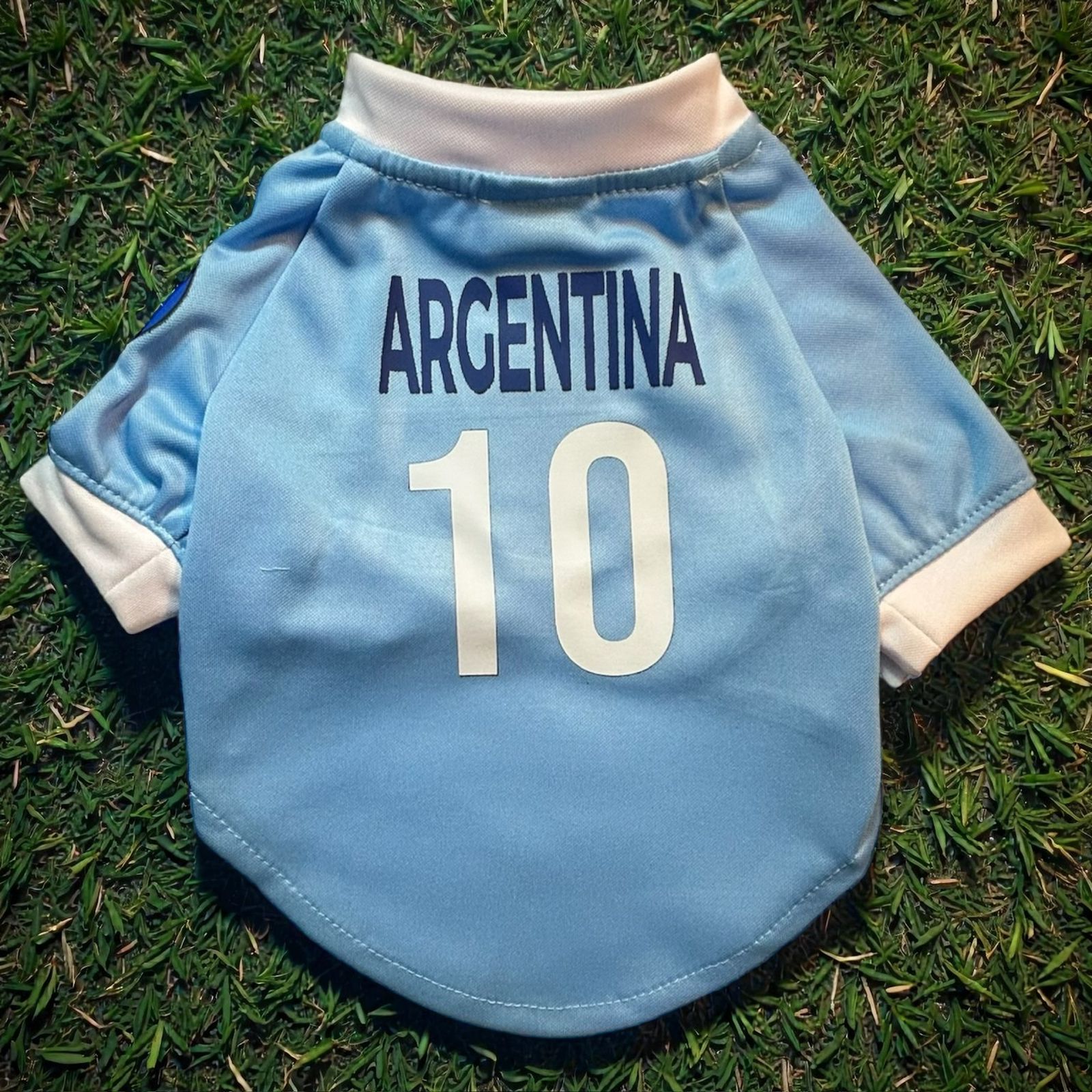 Parte trasera del jersey de Argentina para perro con el número 10, mostrando cómo se personaliza con el nombre de tu mascota