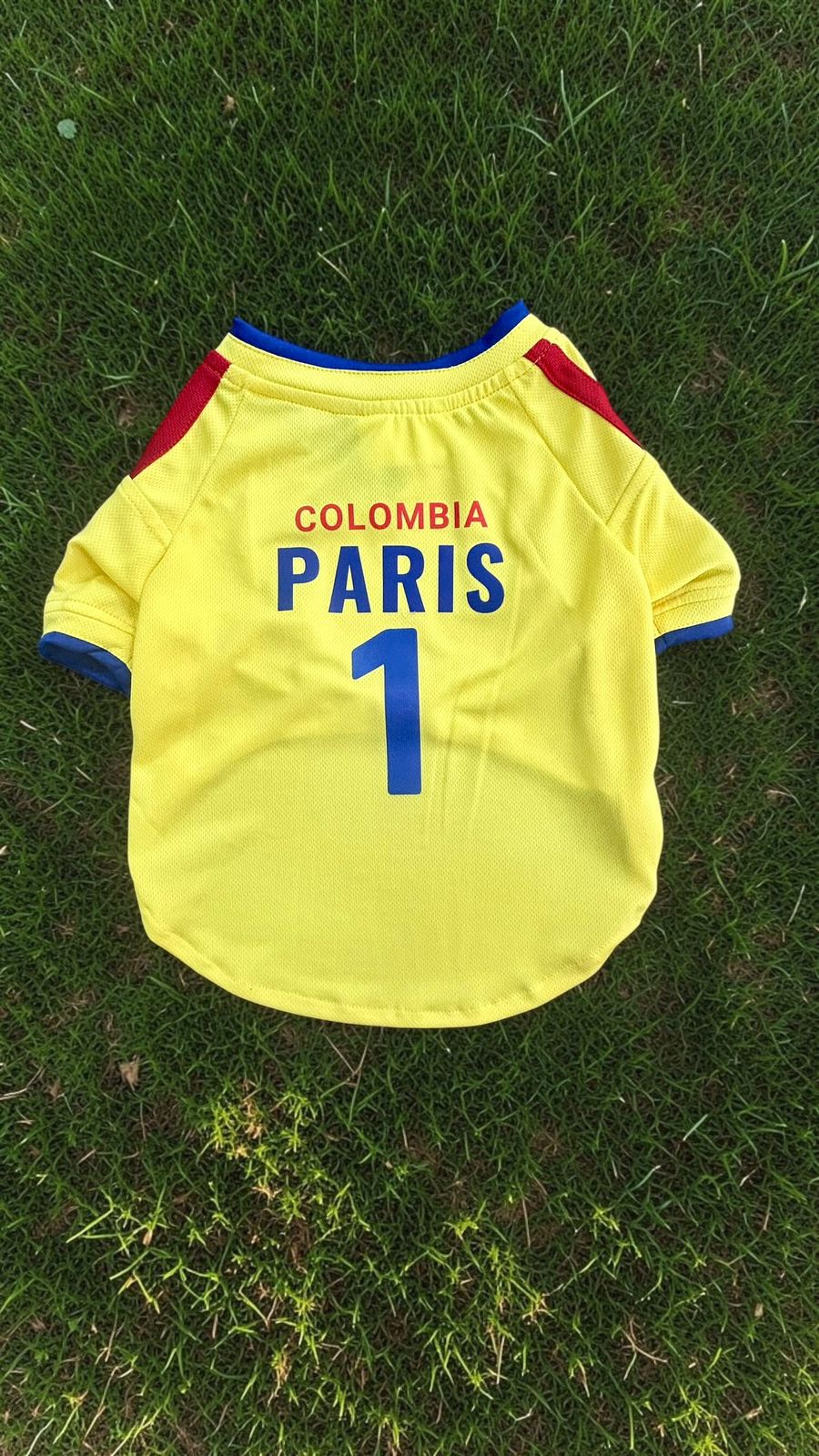 Vista frontal del jersey amarillo Selección Colombia para mascotas