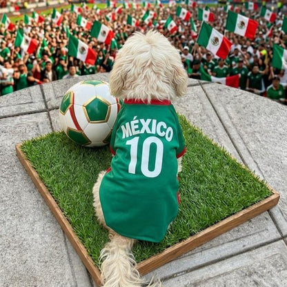 Perro pequeño blanco de espaldas usando jersey verde de la selección de México para mascota con el número 10, mirando hacia la cancha de un estadio de fútbol lleno
