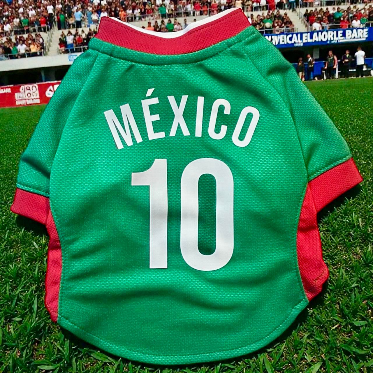 Parte trasera de la playera de México para perro con el número 10, mostrando cómo luce la personalización en la espalda