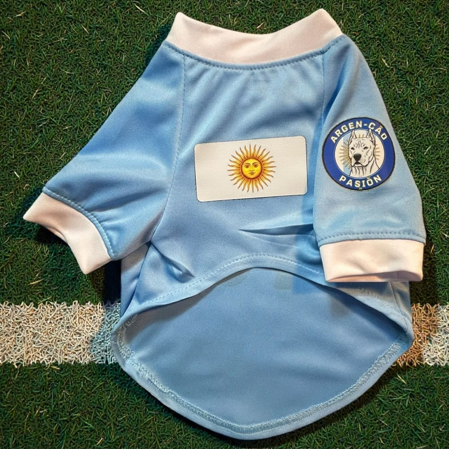Playera de Argentina para mascotas vista de frente sobre el pasto, con el clásico diseño albiceleste