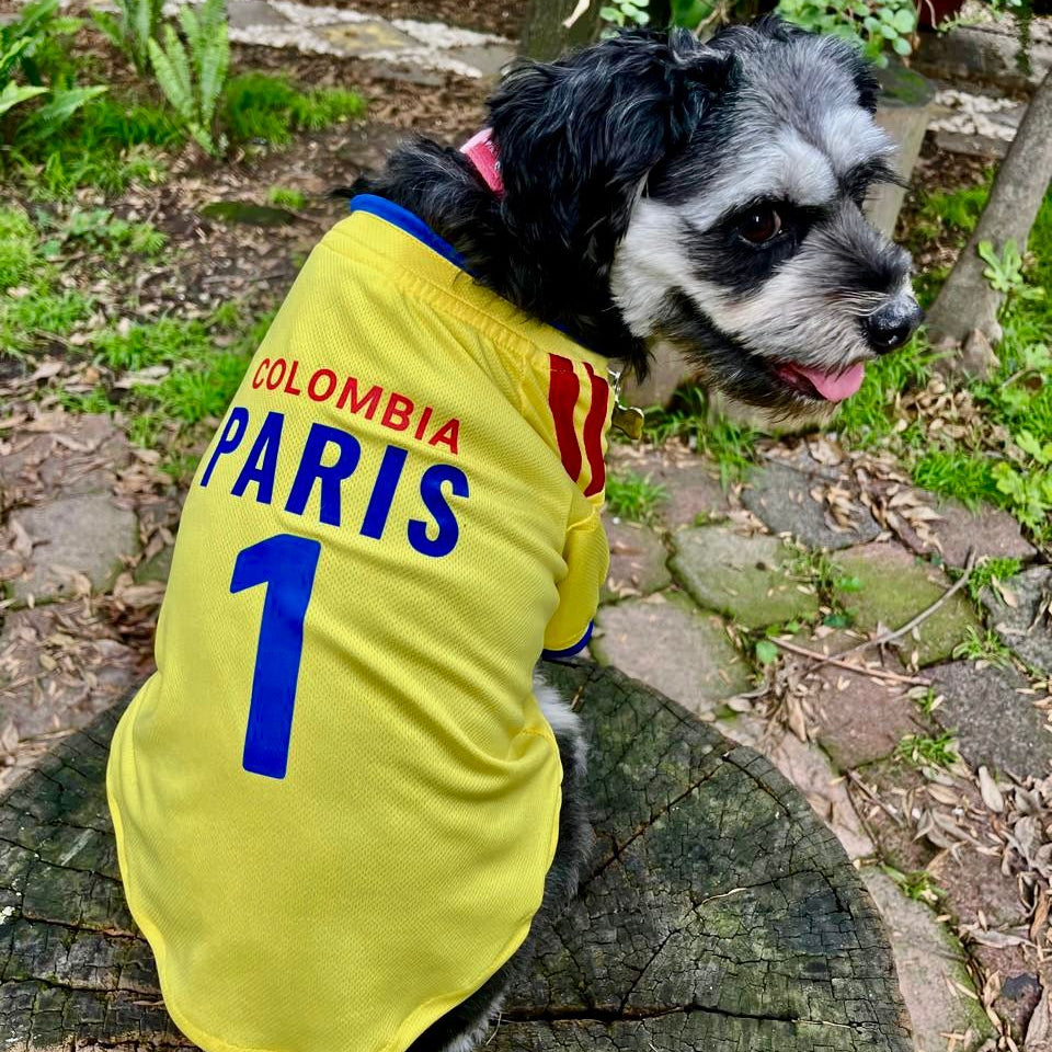 Perro vistiendo jersey amarillo de la Selección Colombia, edición fútbol 2026