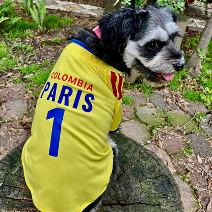 Perro vistiendo jersey amarillo de la Selección Colombia, edición fútbol 2026