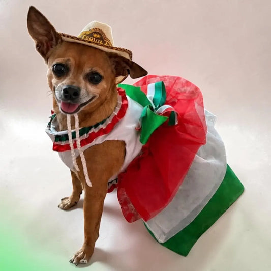 vestido para chihuahua, tutu tricolor con sombrero para perro
