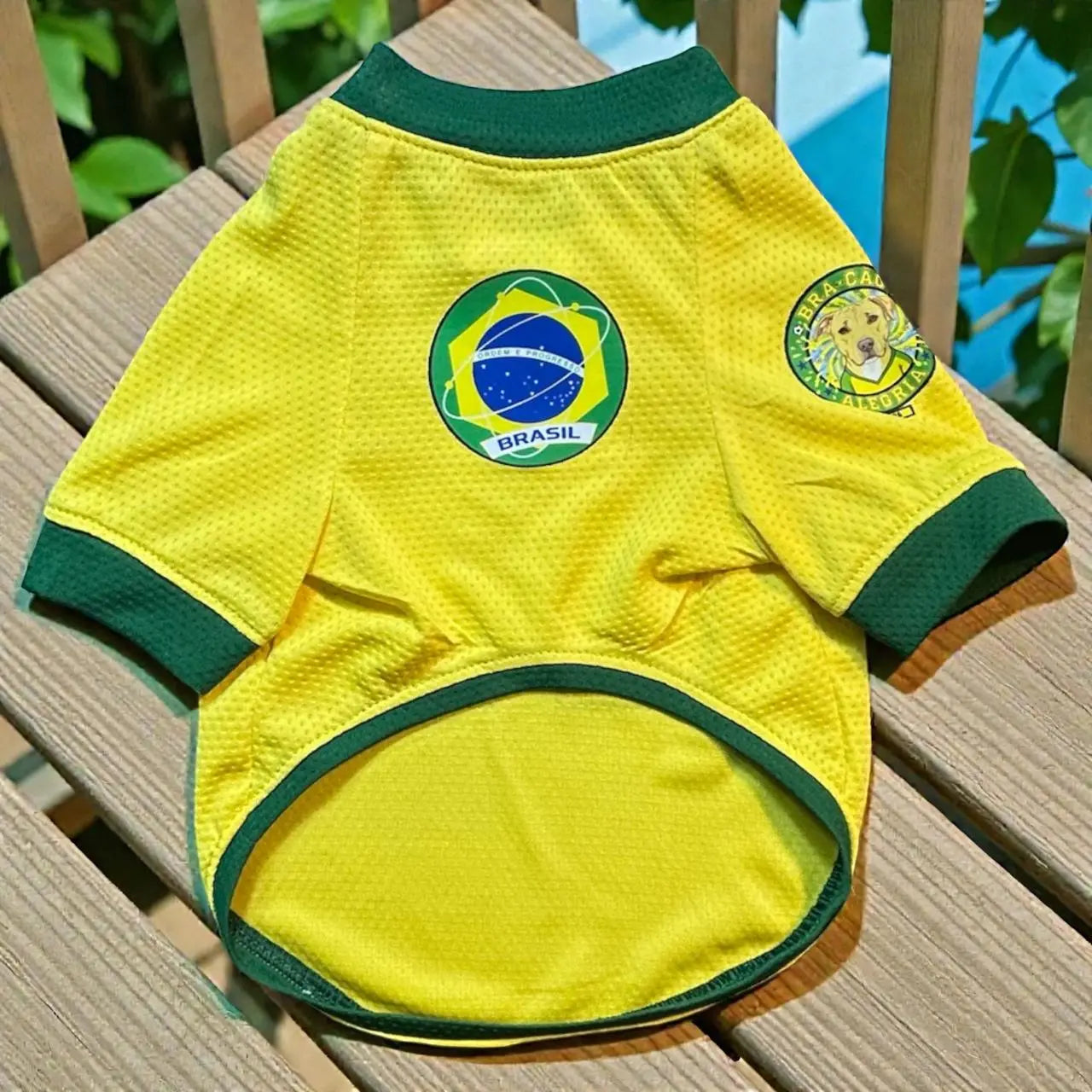 Jeysey Brasil Mundial 2026 para perro