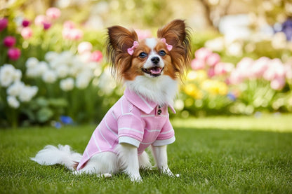 Perrito usando playera polo rosa a rayas paseando en el parque.