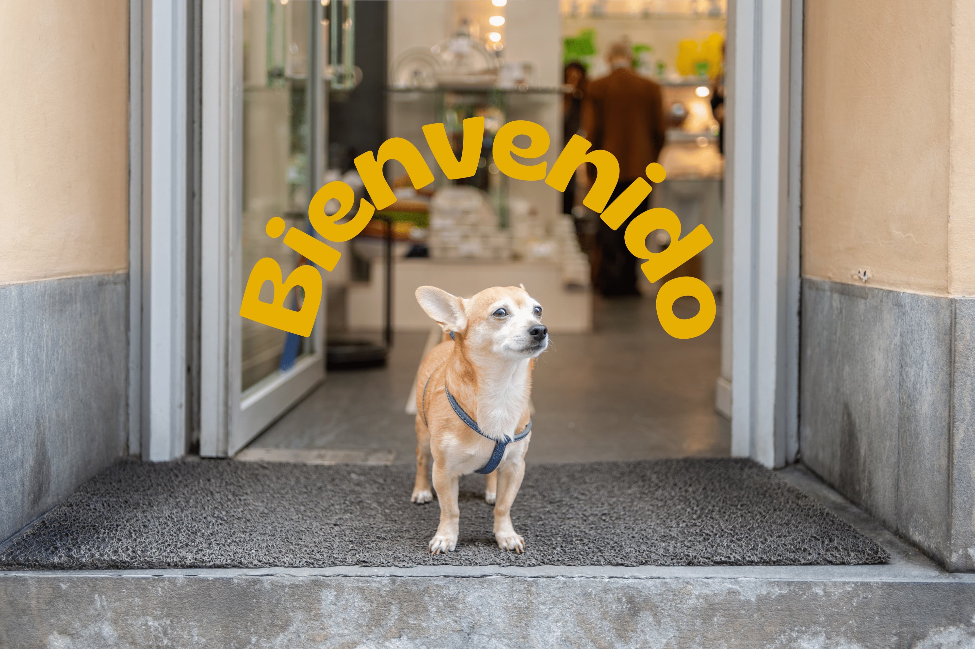 Tienda de ropa para perros y mascotas