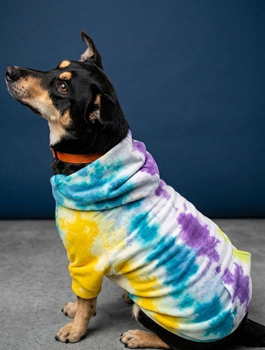 Sudadera artesanal para perro con diseño tie dye amarillo, morado y azul modelo sentado