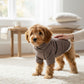 perro usando sweater oslo con cuello alto, ropa de invierno cálida y cómoda para mascotas, ideal para climas fríos