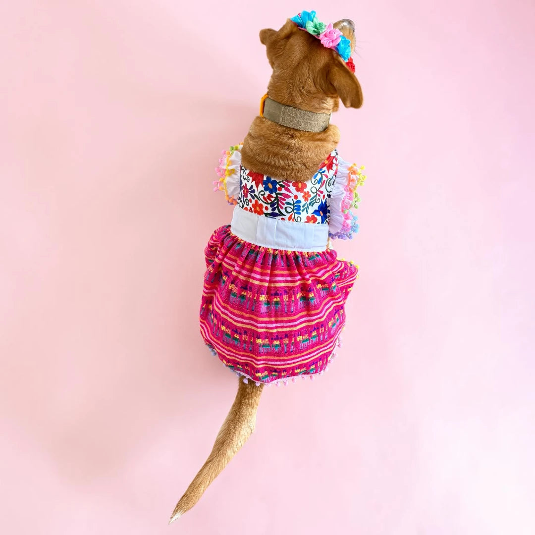 Vestido campesino para perro. perros grandes usando vestido mexicano