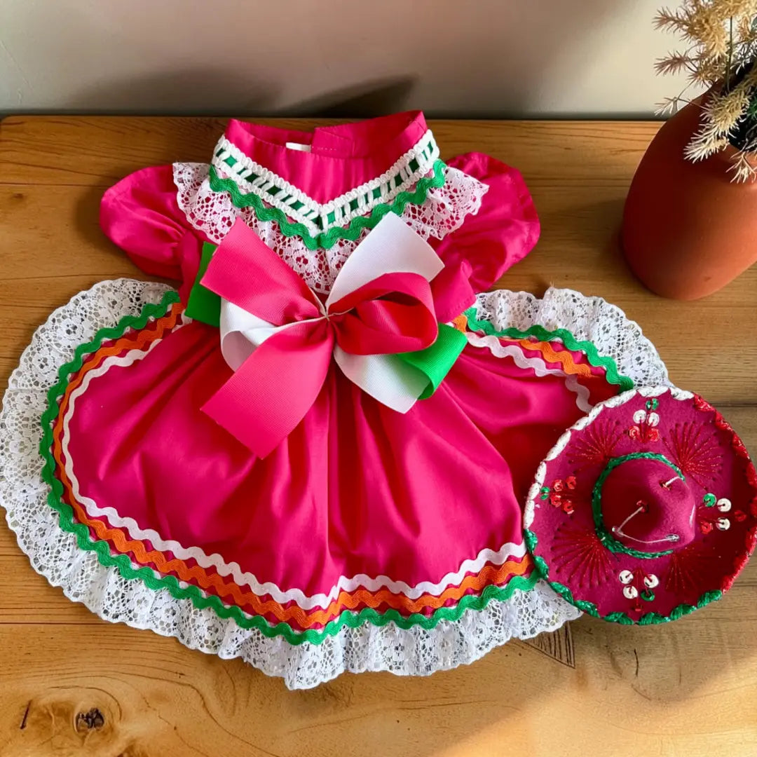 Vestido Jalisco para perrita grande, sombrero rosa mexicano 