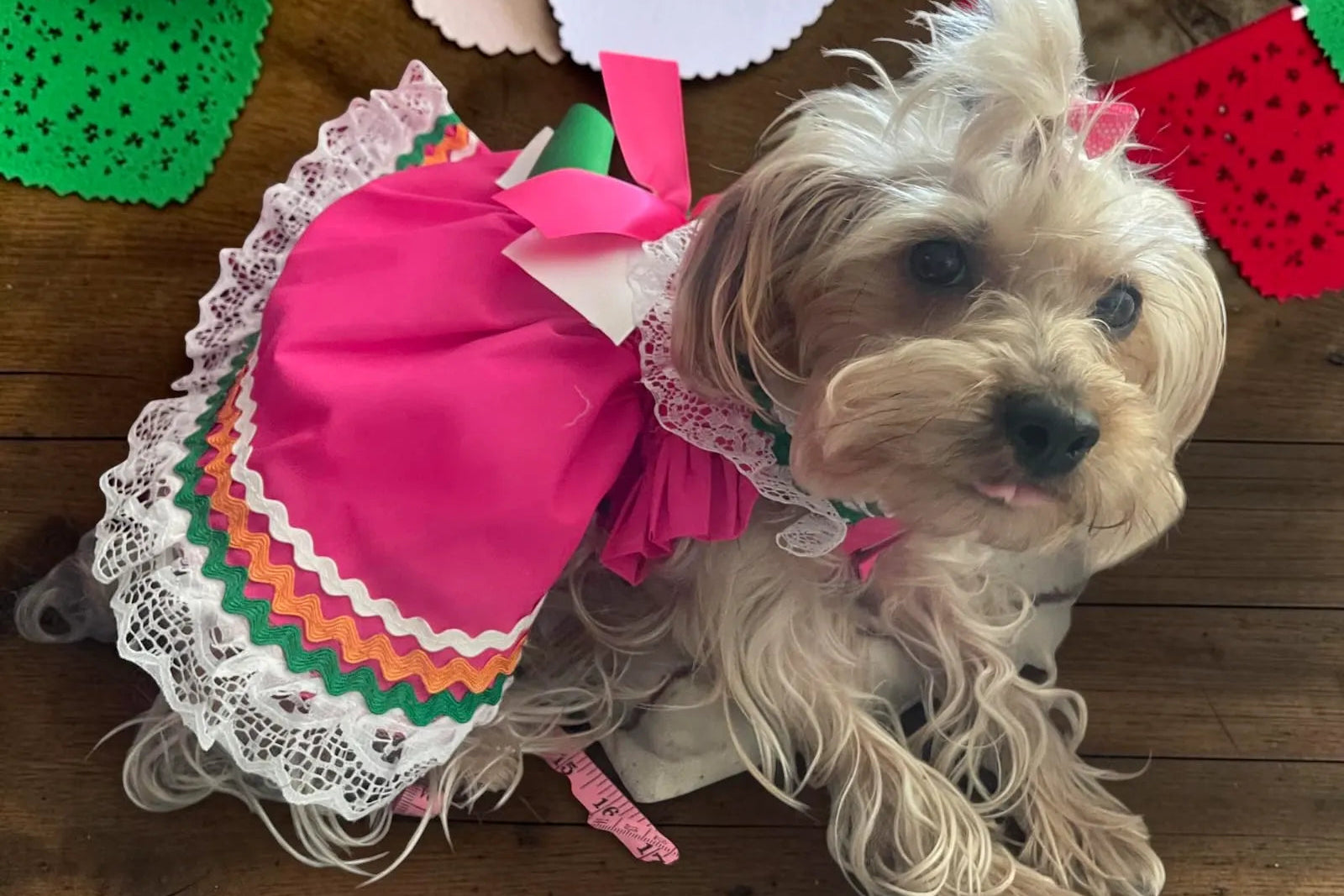 yorkie usando un vestido jalisco mientras sonrie a la camara