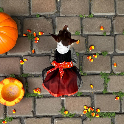 Perro pequeño con vesitdo de halloween negro y rojo para perro | Zona de Perros